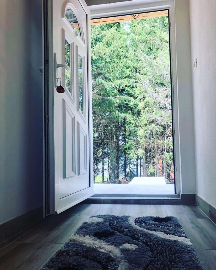 Holiday Home ,,Lazar" جابلياك المظهر الخارجي الصورة