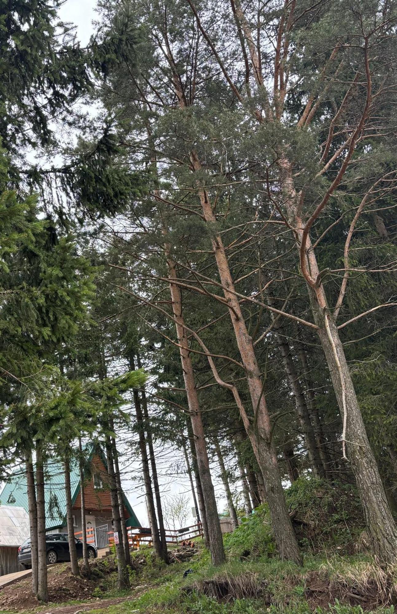 Holiday Home ,,Lazar" جابلياك المظهر الخارجي الصورة