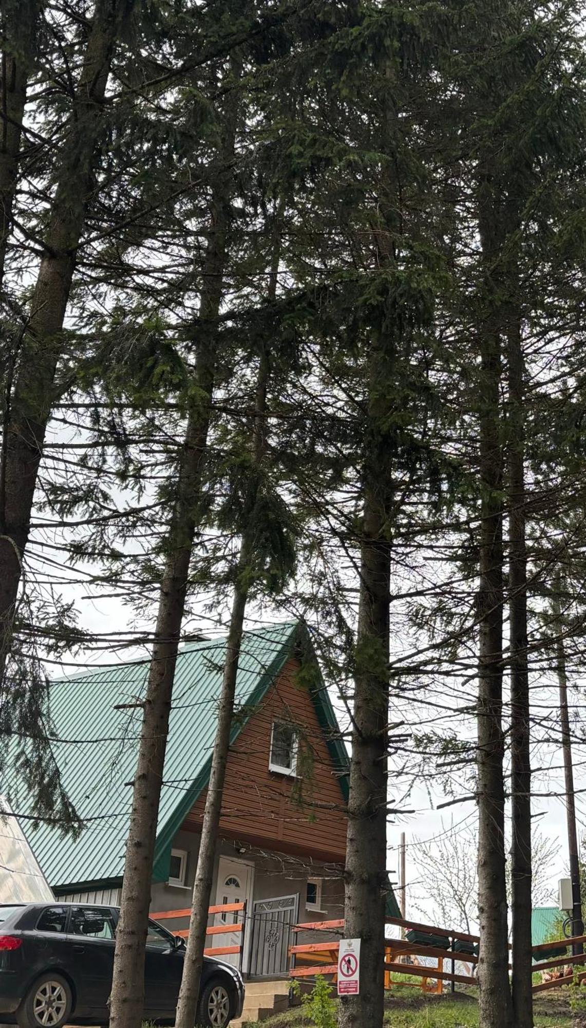 Holiday Home ,,Lazar" جابلياك المظهر الخارجي الصورة