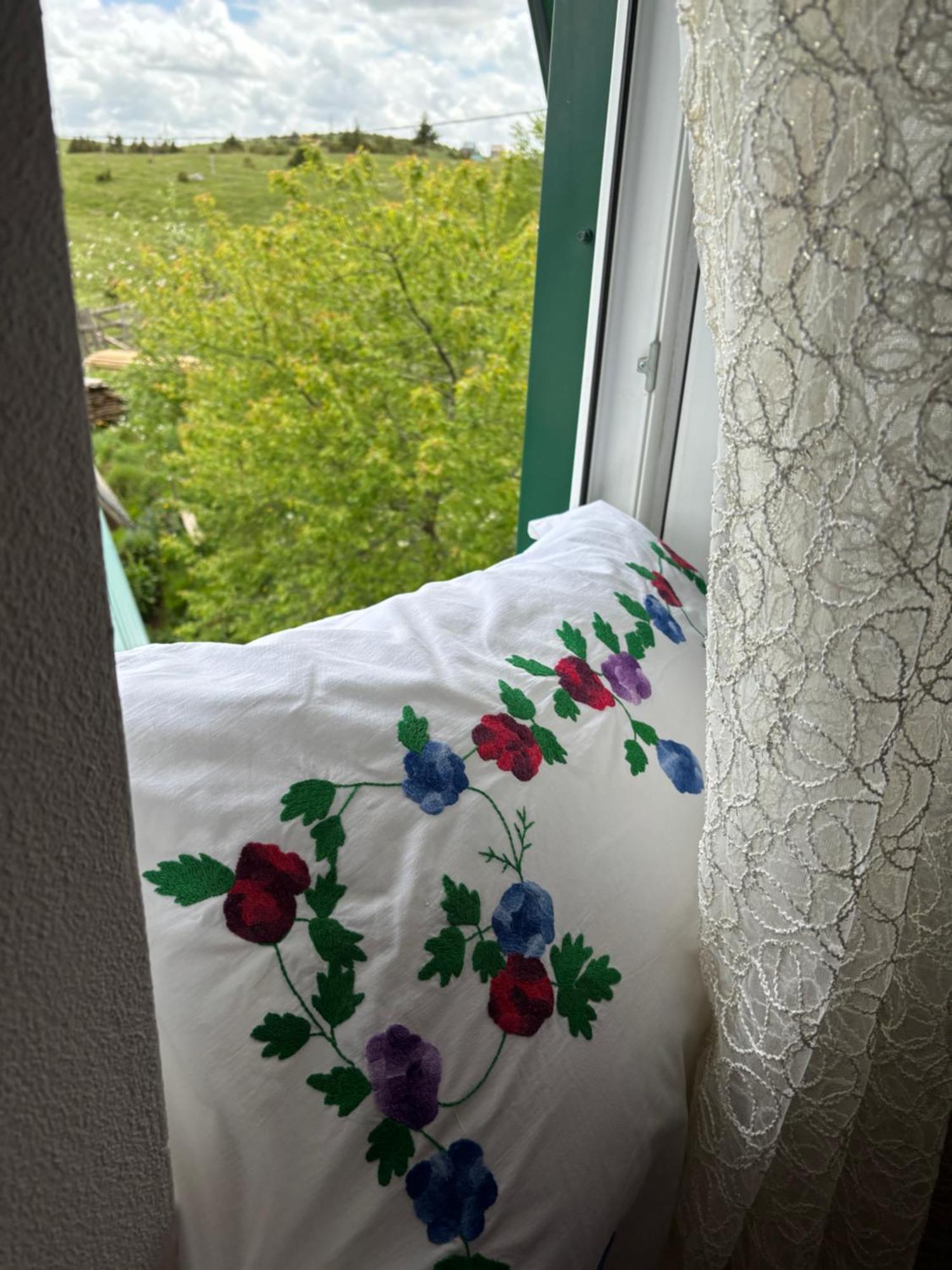 Holiday Home ,,Lazar" جابلياك المظهر الخارجي الصورة